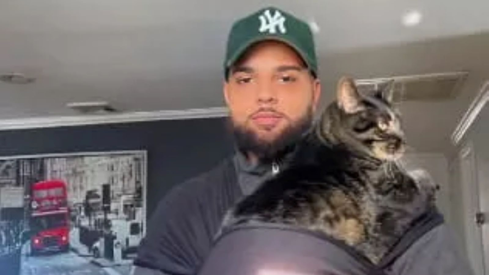 "Kedim iki gündür yemek yemiyor": Veterinere bir sürü para harcadı, teşhisi duyunca şoke oldu!