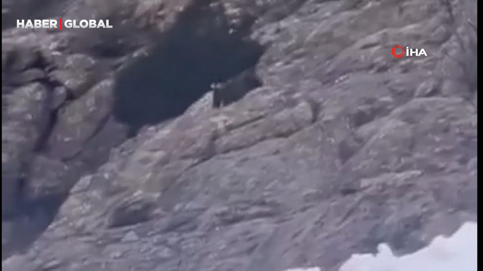 Kış uykusundan uyandı, kar üstünde yiyecek aradı