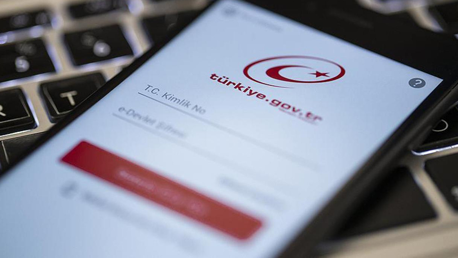 e-Devlet'i kopyalayıp milyonluk vurgun yaptılar!