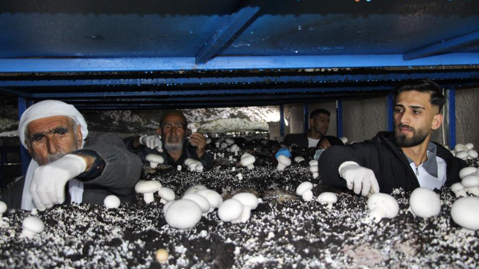 Şırnak'ta bir ilk; 2 bin yıllık tarihi mağarada üretiliyor