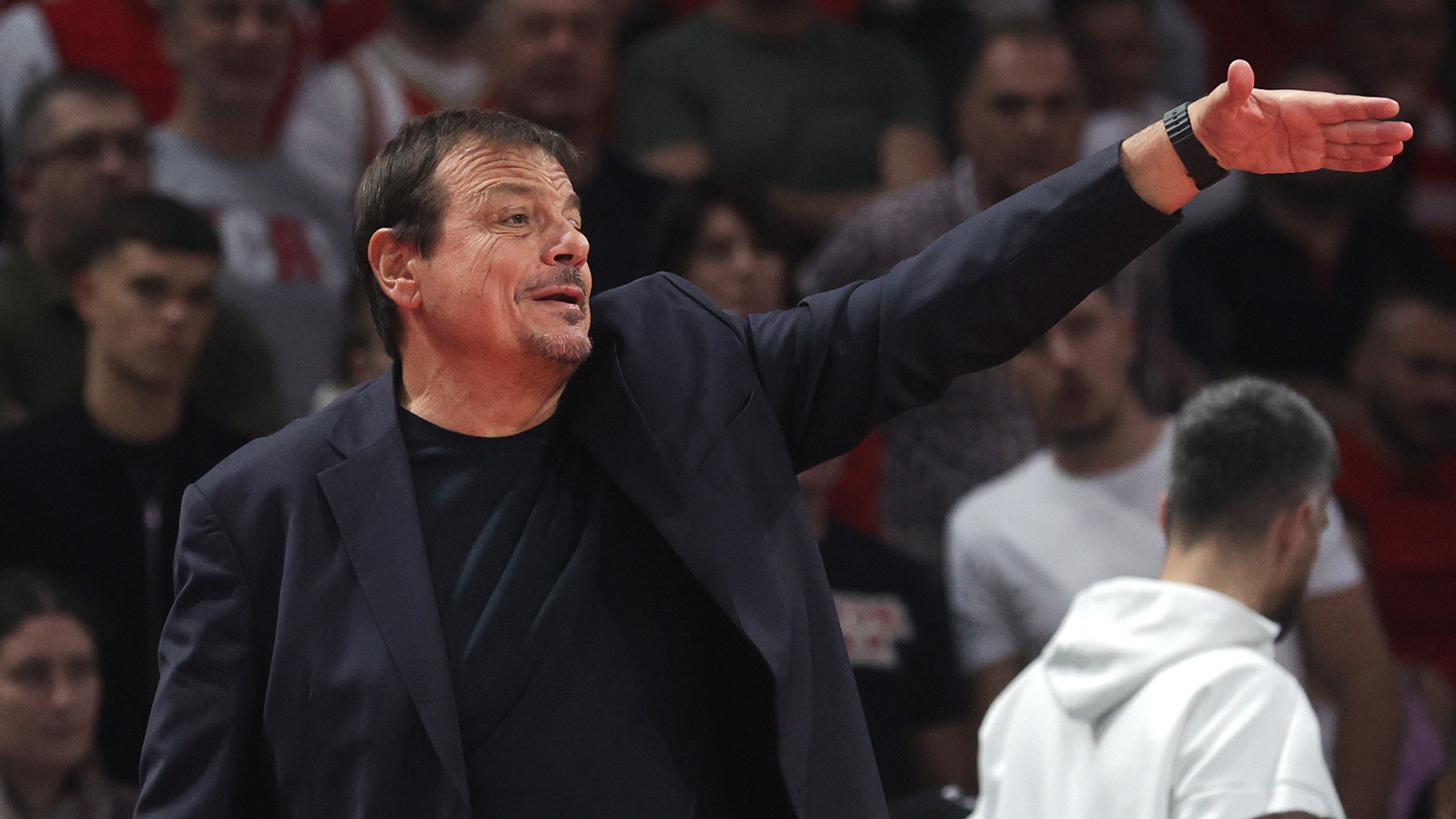 Ergin Ataman, Yunan derbisinde çıldırdı: Basketbolun Mourinho'su
