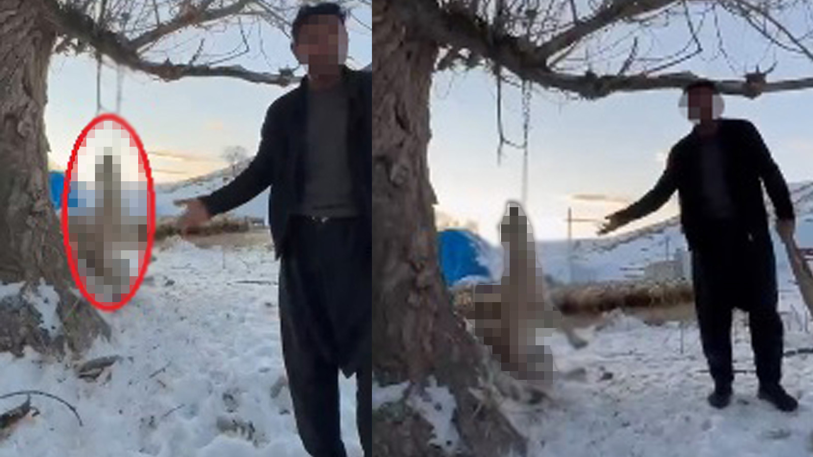 Kayseri'de kan donduran vahşet: Köpeğini ağaca asıp öldürdü