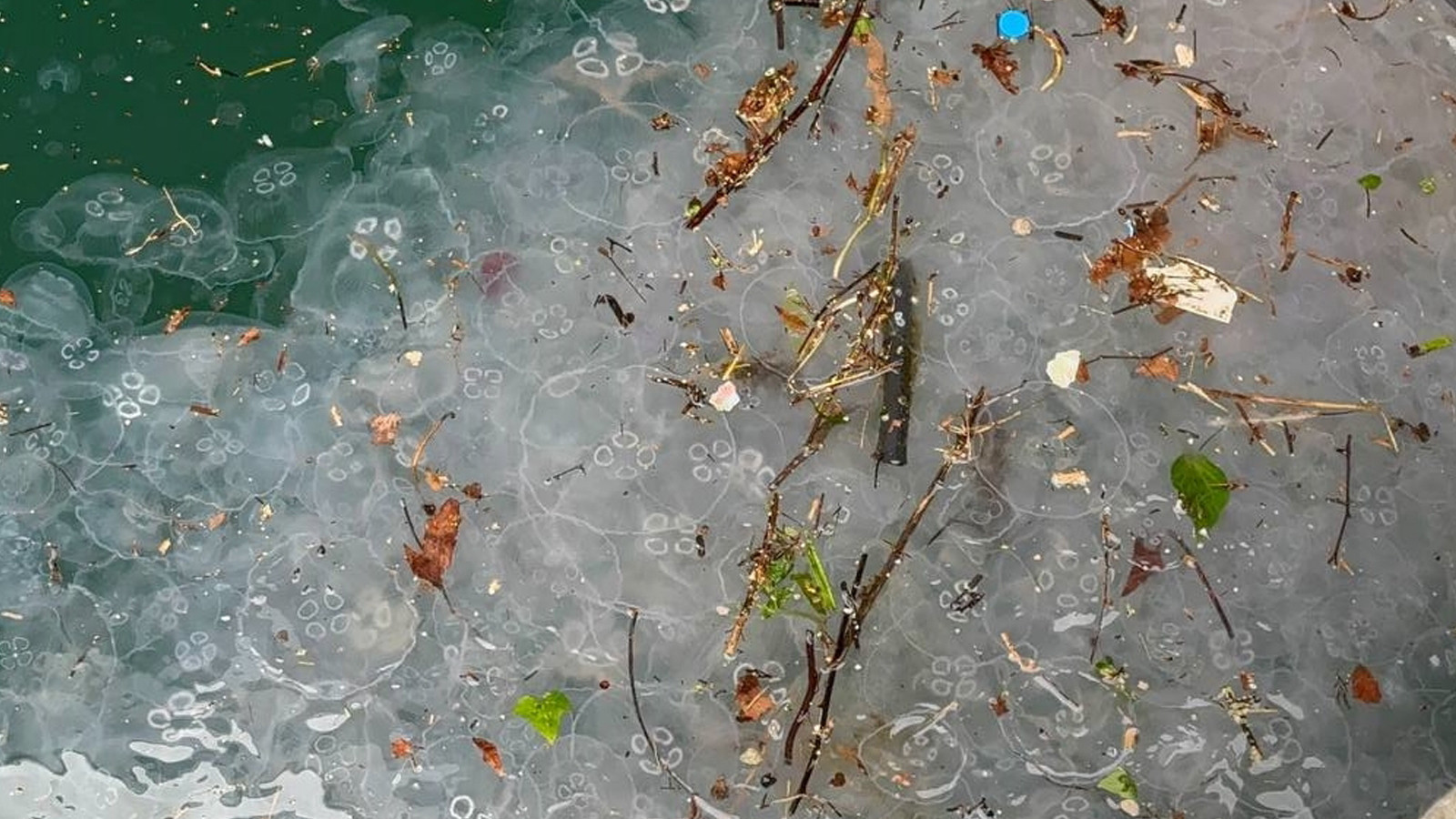 Saatler süren yağmur sonrası İstanbul'da bu görüntü ortaya çıktı