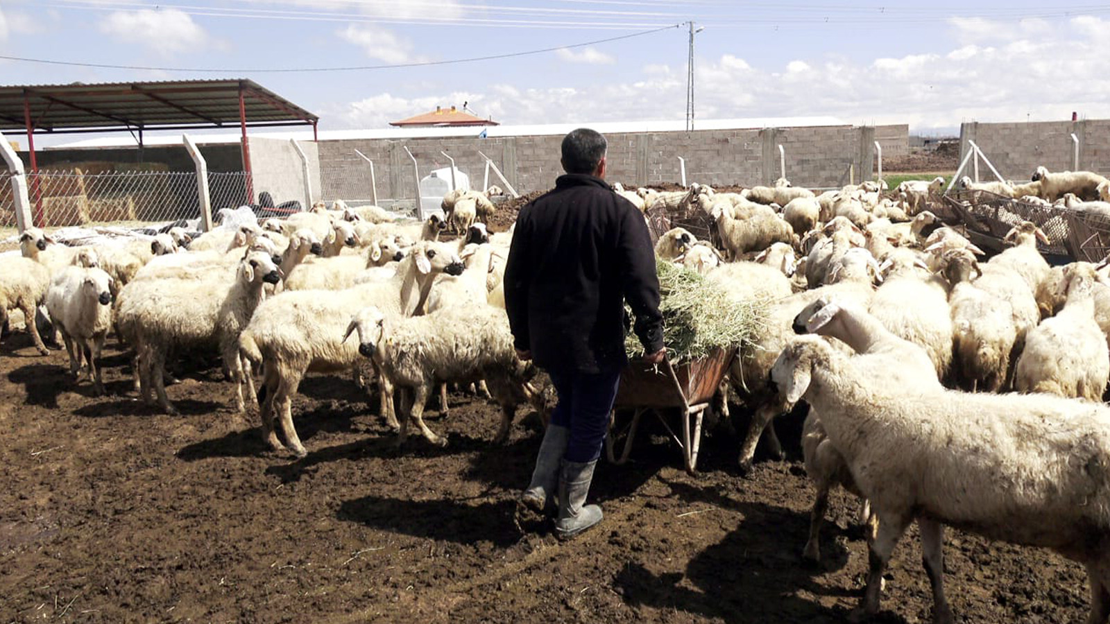 80 bin lira maaşla çalıştıracak kimseyi bulamıyorlar