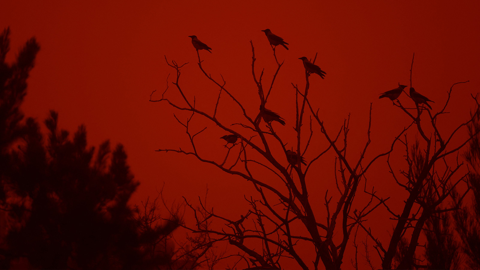 Girit Adası'ndan inanılmaz görüntüler! Kırmızıya büründü... 1 kişi hayatını kaybetti