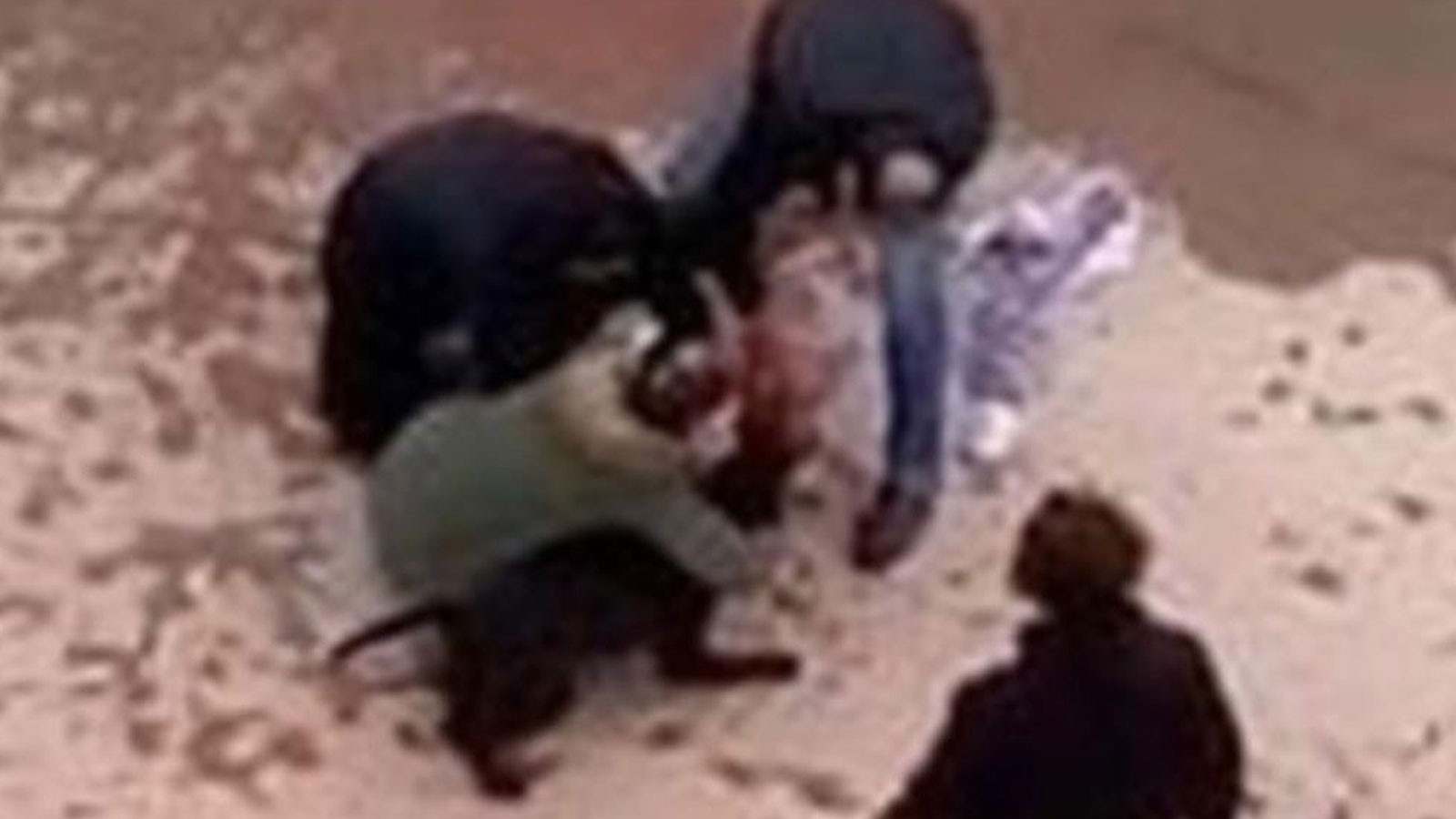 Gaziantep’te 4 yaşındaki Asiye Ateş’e pitbull saldırısı davasında karar