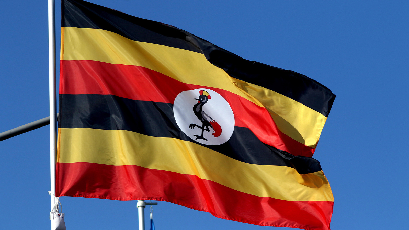 Uganda'da anaokulunda palalı saldırı: 4 çocuk öldü