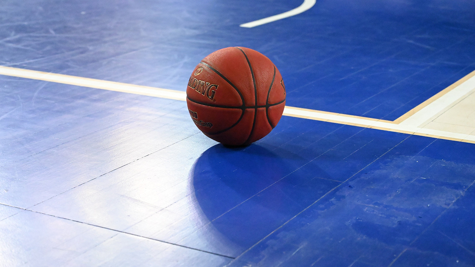 Basketbol Süper Ligi'ndeki Türk Telekom-Erokspor maçı ertelendi