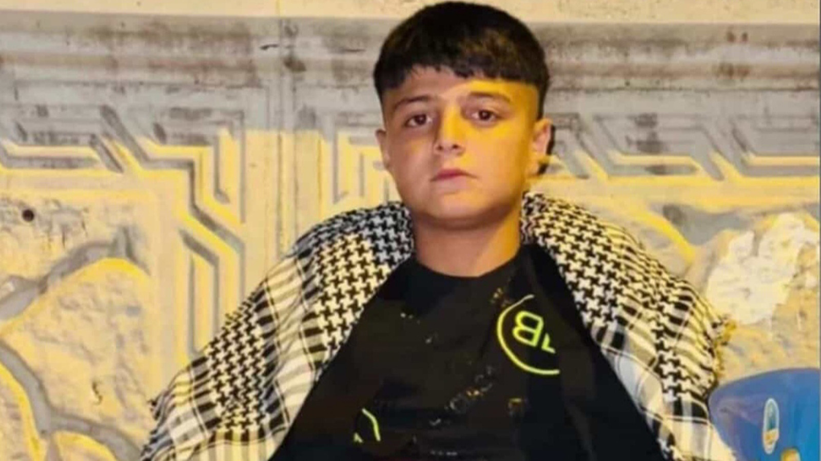 Batman'da ahırda akıma kapılan Miran hayatını kaybetti