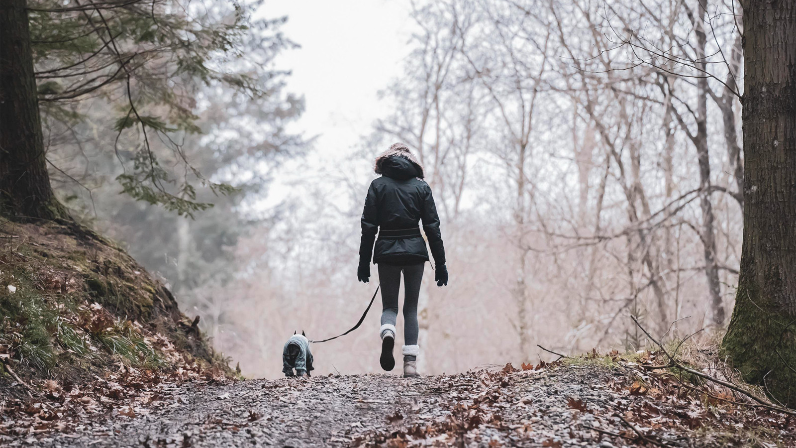 Dedeler gibi yürüyün! Günde bir saat yılda 75 bin kalori yakıyor