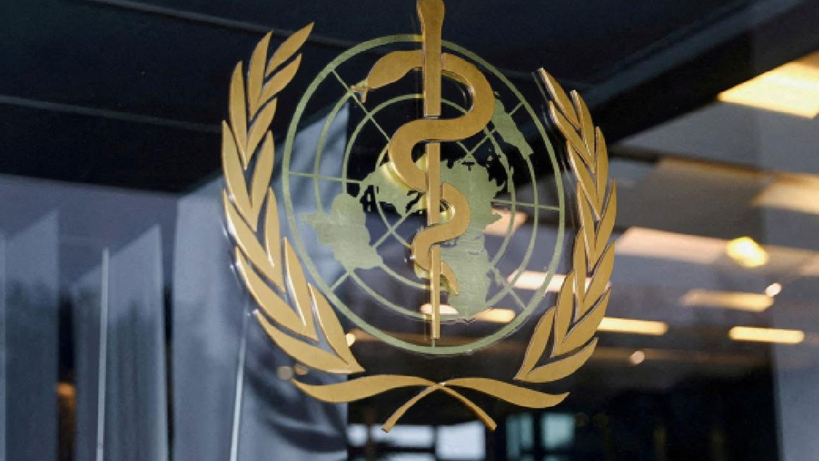 DSÖ, Gazze'de sözleşmeli personelin öldürülmesi üzerine tıbbi tahliyeleri askıya aldı