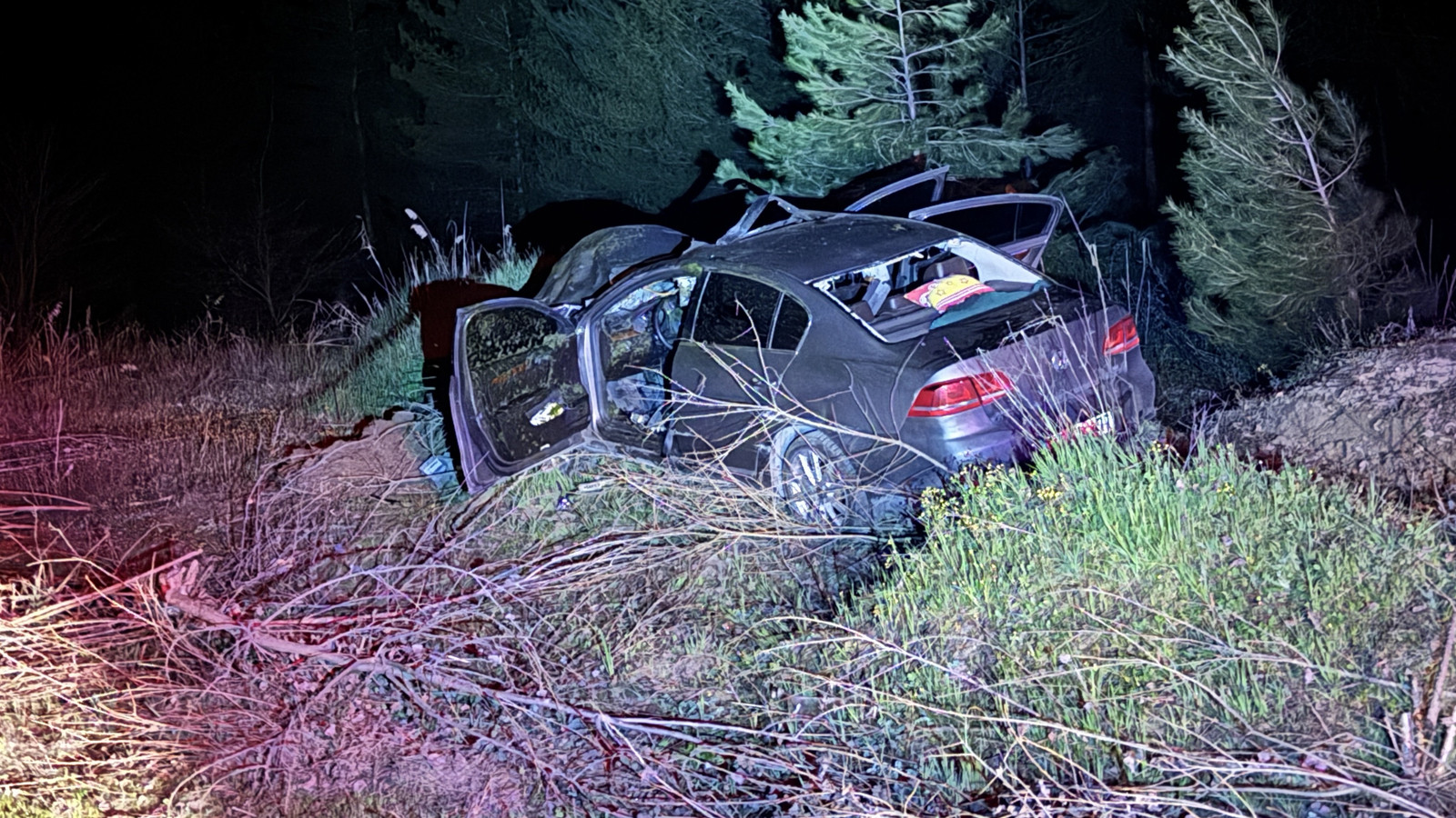 Karabük'te kara yoluna çıkan ata çarptı: Çok sayıda yaralı var