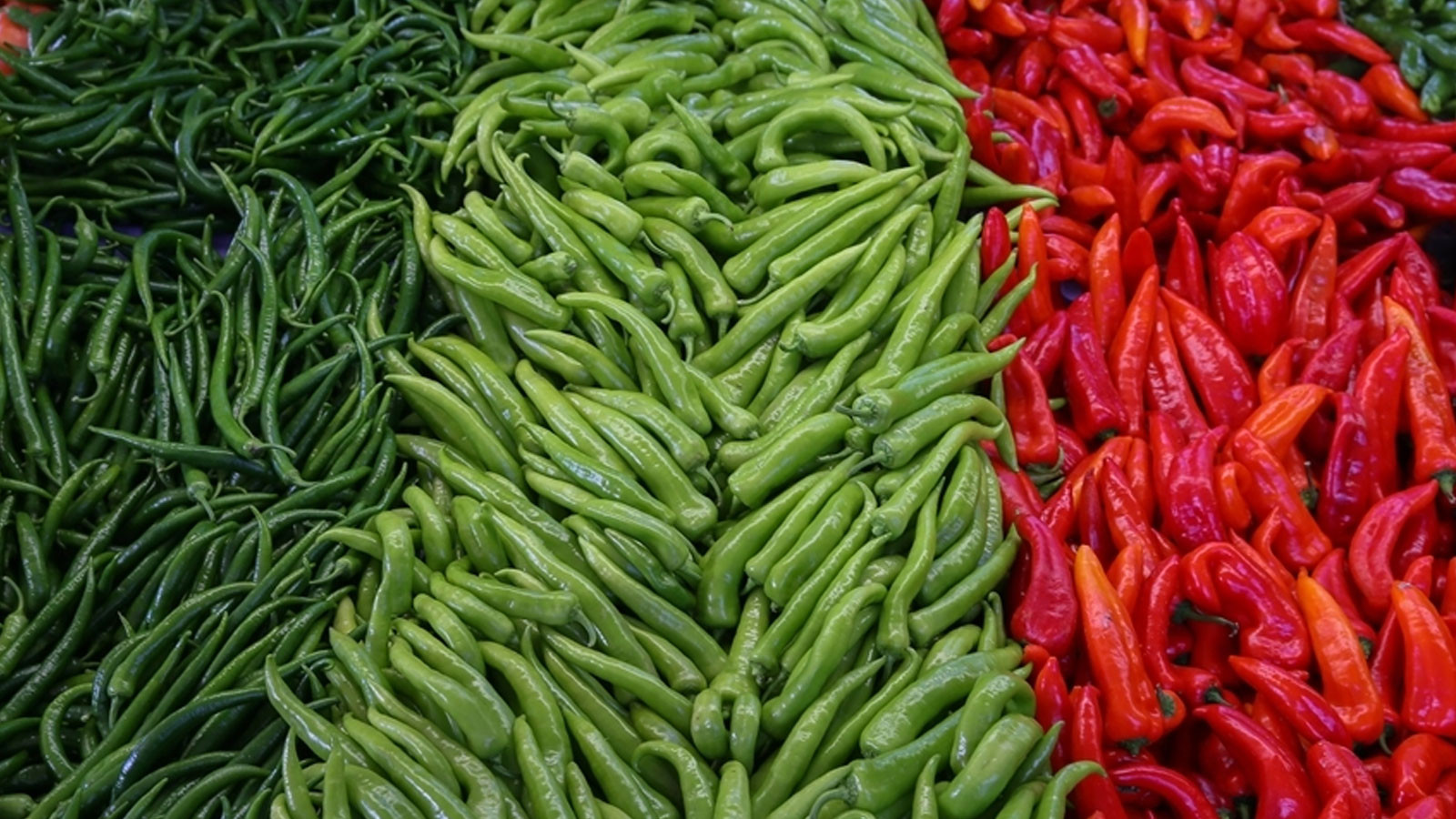 Tarlada 7, markette 200 TL! Biberin fiyatı cep yaktı