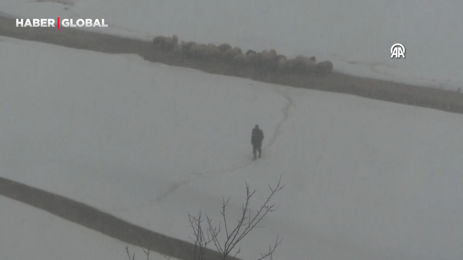 Van'da ilkbaharda lapa lapa kar yağdı