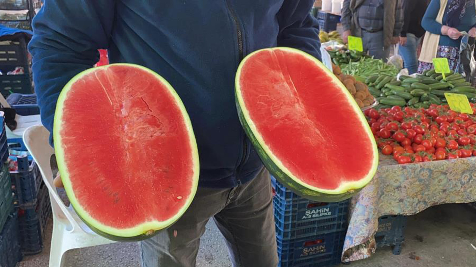 Sezonun ilk karpuzları tezgaha indi; işte kilo fiyatı!