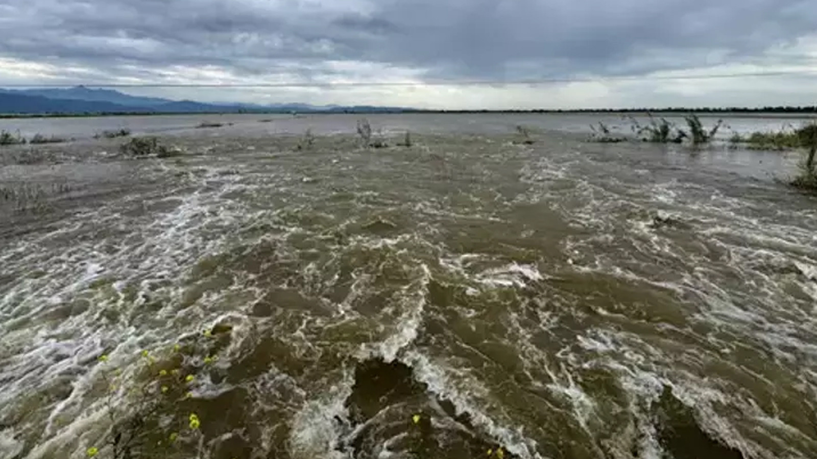 Büyük Menderes taştı! 65 bin dönüm tarım arazisi sular altında kaldı