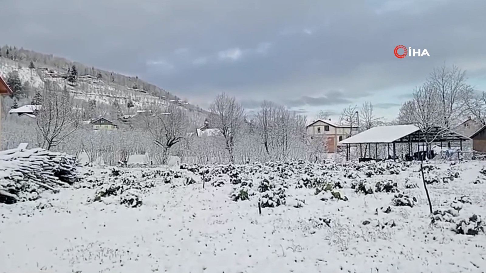 Sakarya nisan ayında beyaza büründü