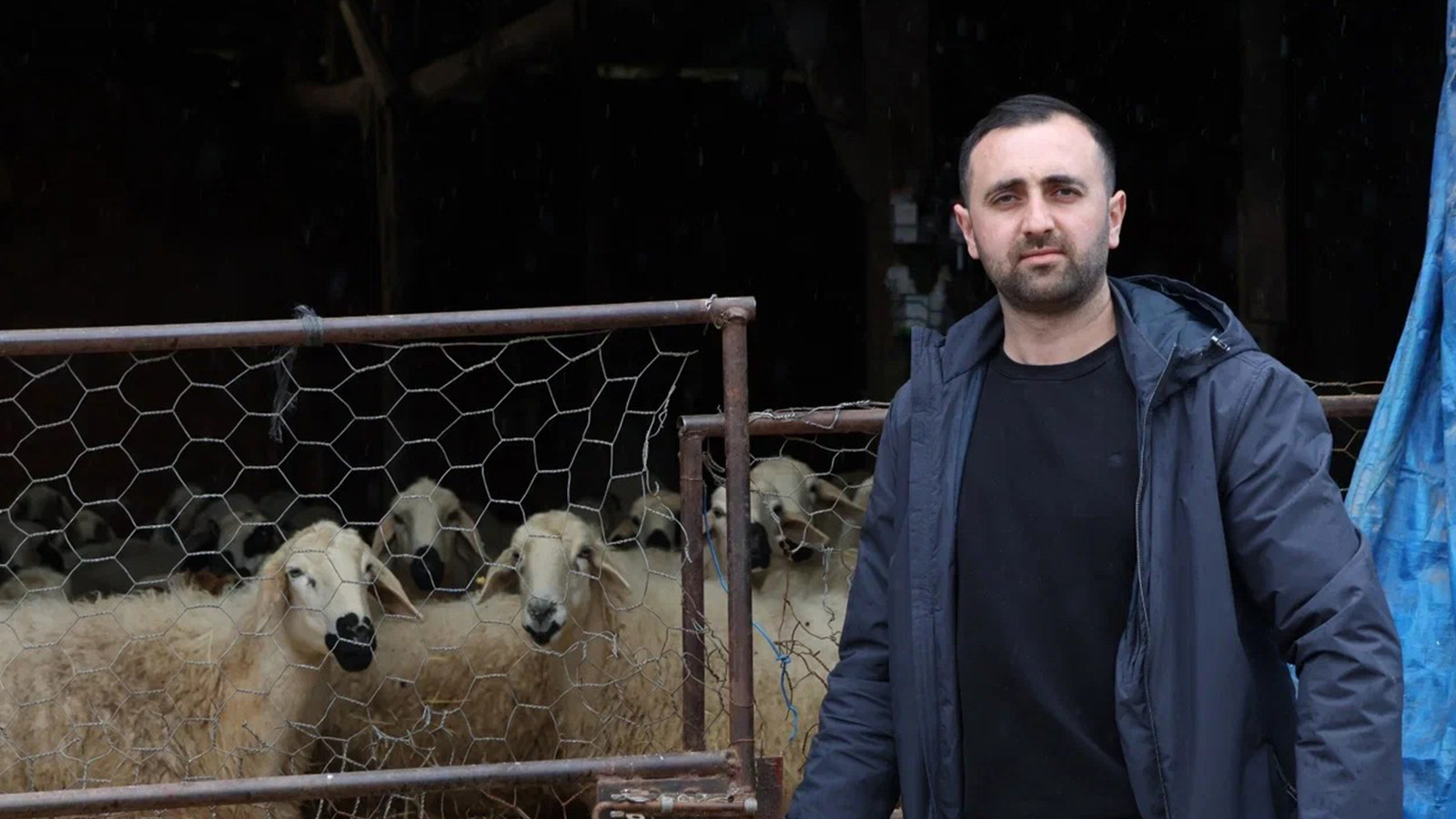 Devlet desteğiyle başladı; 9 yılda 400 başa ulaştı