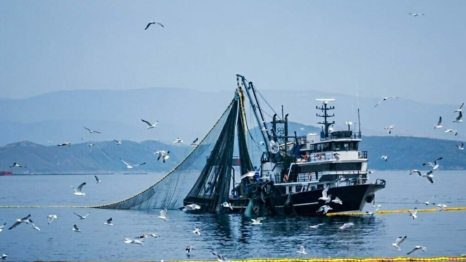 Av sezonu bitiyor: 15 Nisan’da yasak başlıyor