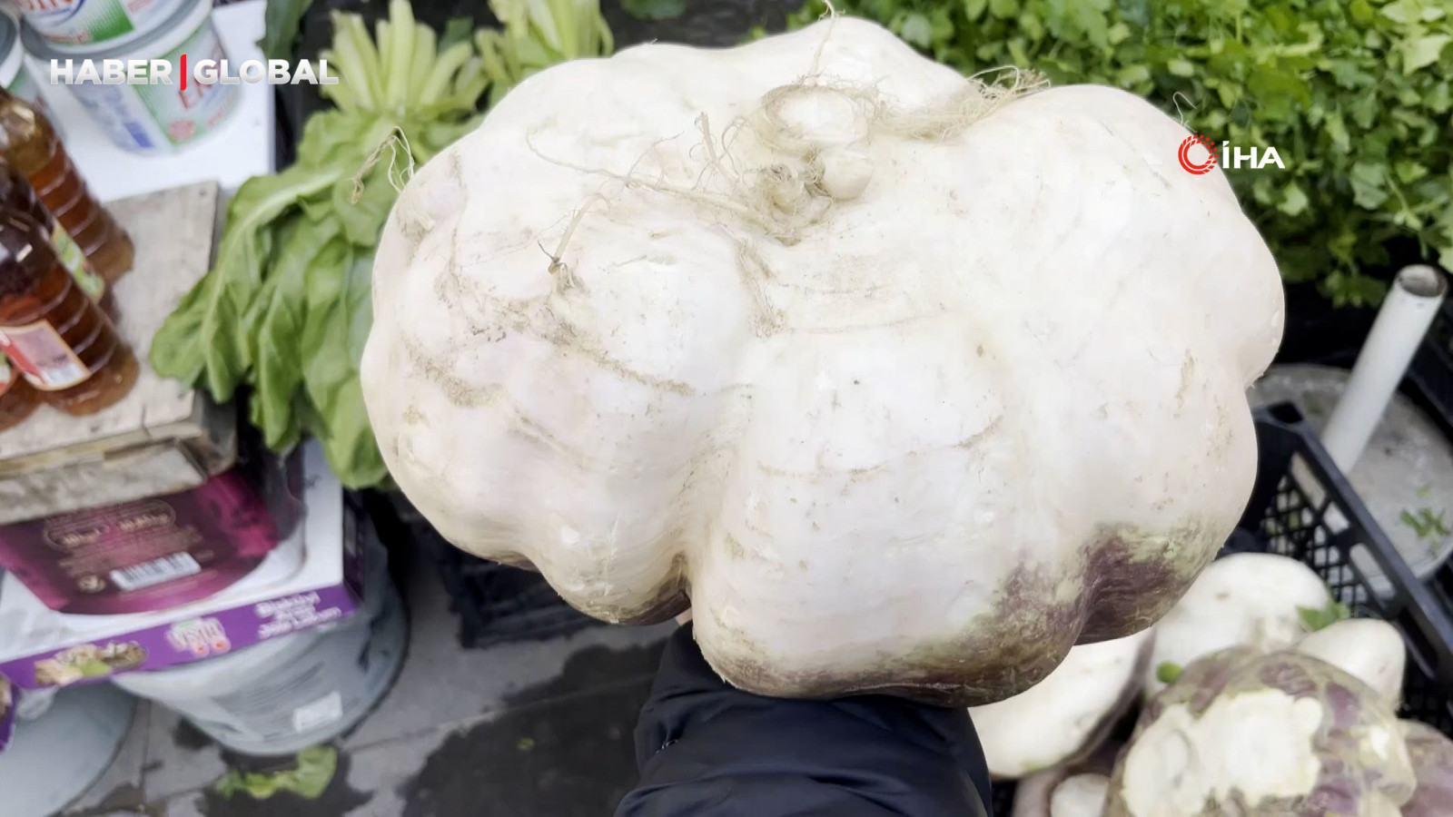 Batman'da dev turp görenleri şaşırttı