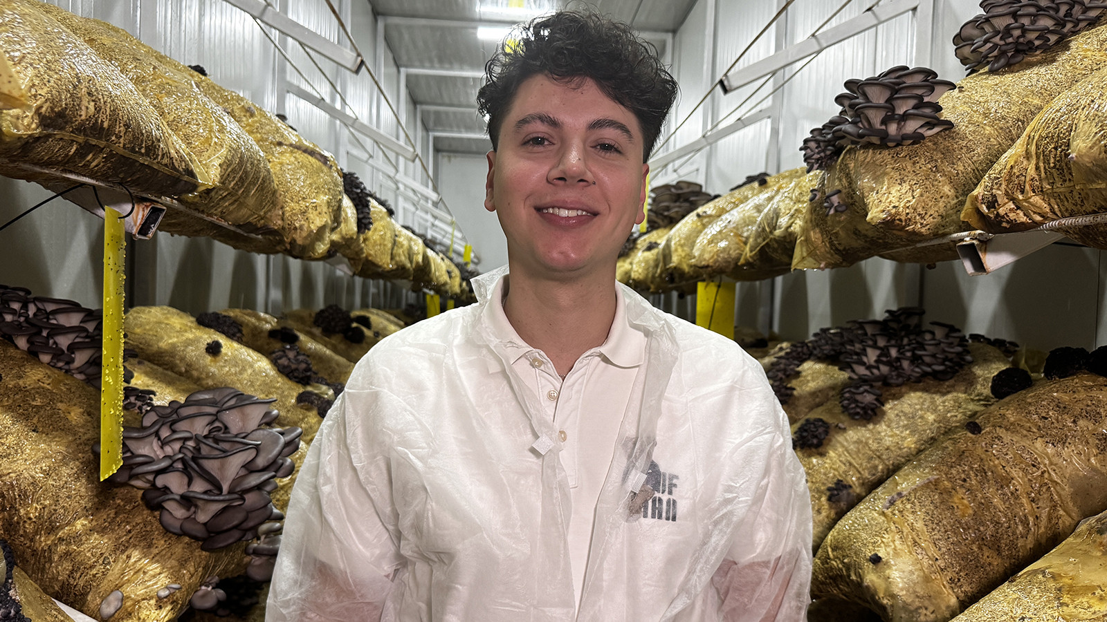 Ziyarete gittiği halasından öğrenip tesis kurdu; 12 ay boyunca ürün alıyor