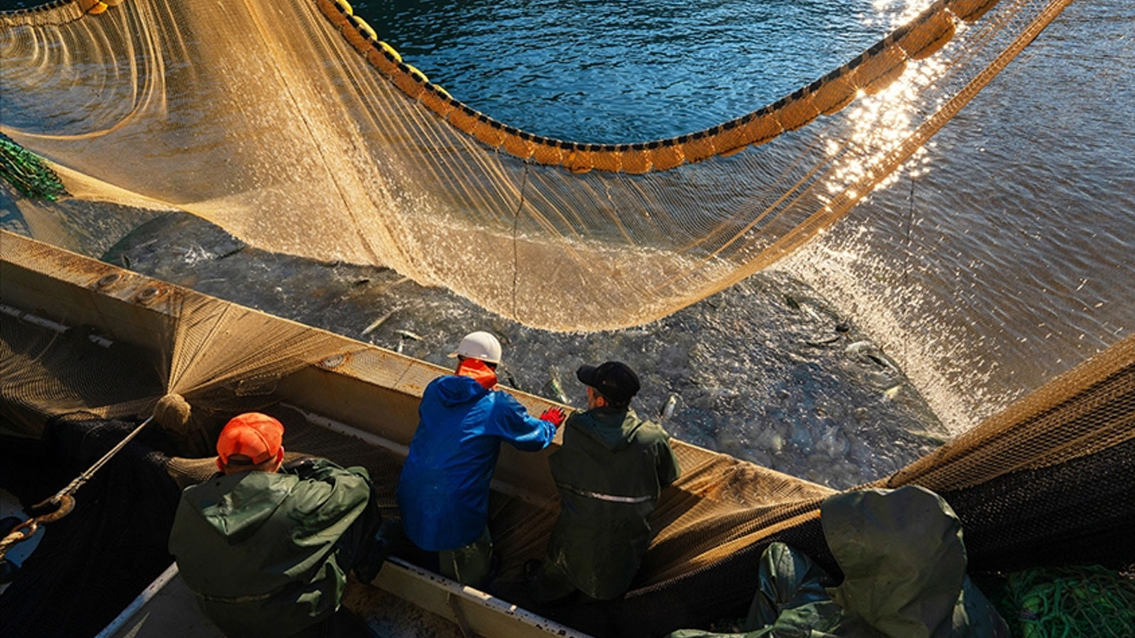 Denizlerde av sezonu sona erdi