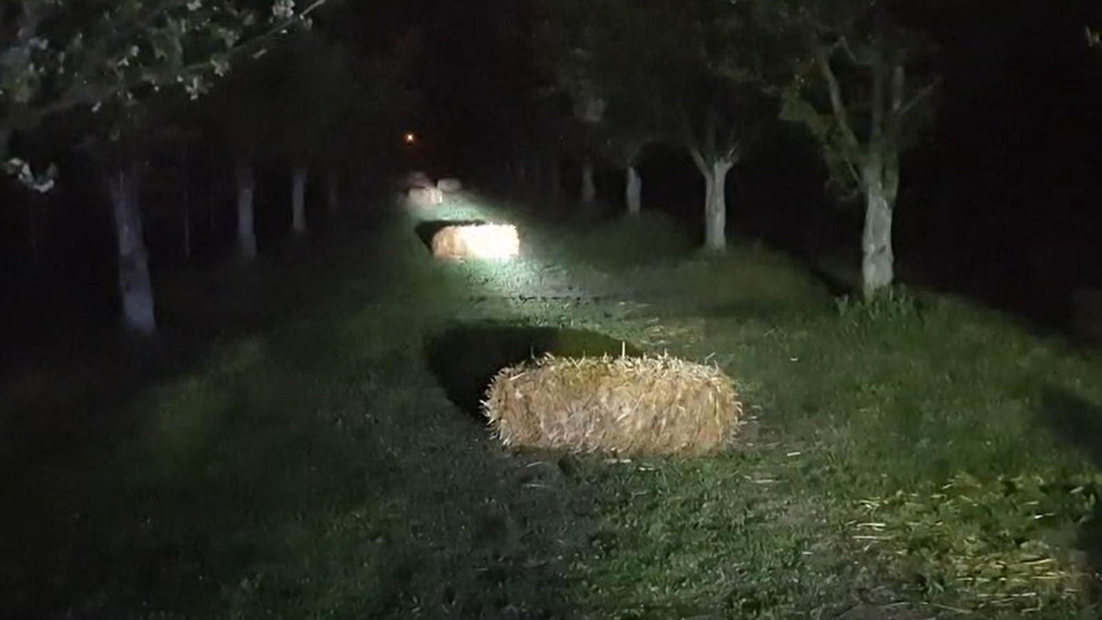 Üreticilerin en zorlu mesaisi başladı: Gece yarısından sabaha kadar nöbet tutuyorlar