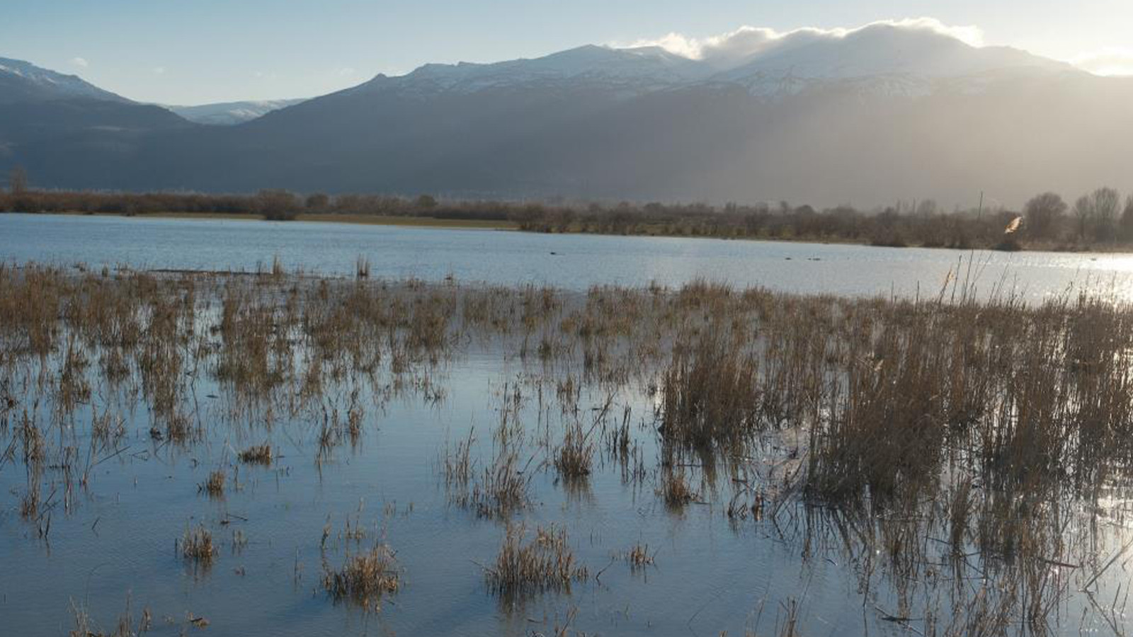 Yıllardır görülmeyen oldu; Nasreddin Hoca'nın maya çaldığı gölde şaşırtan manzara