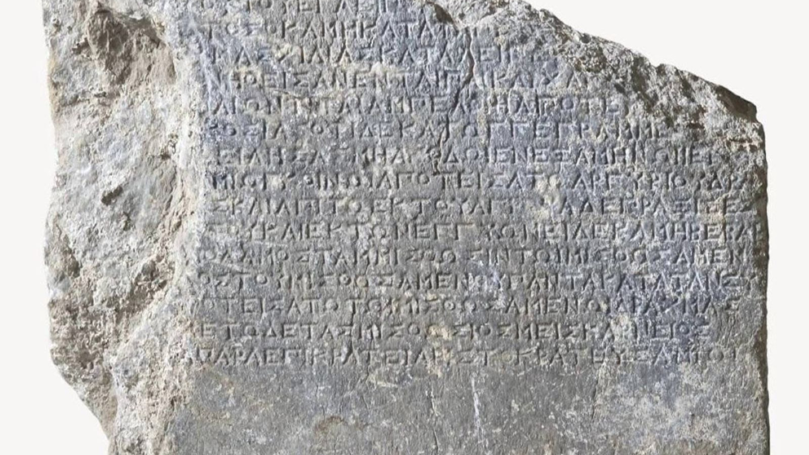 2 bin 200 yılık, Fethiye'de bulundu: Kira karşılığı ağaç dikme yükümlülüğü getiriyor!