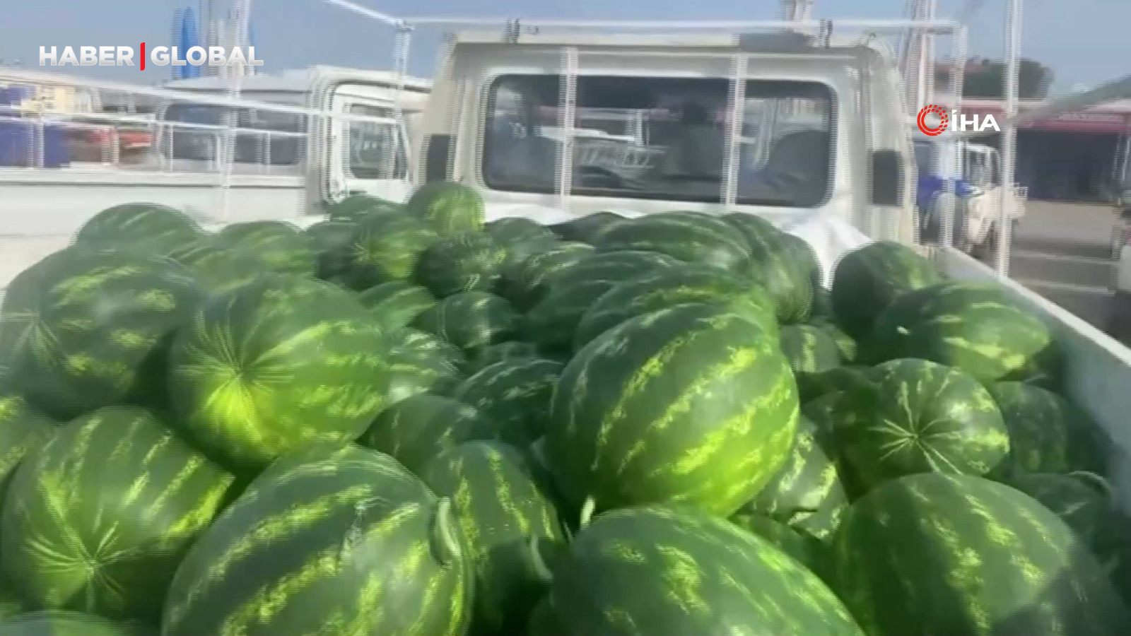 Antalya'da sezonun ilk karpuz hasadı, kilosu 40 liradan satılıyor