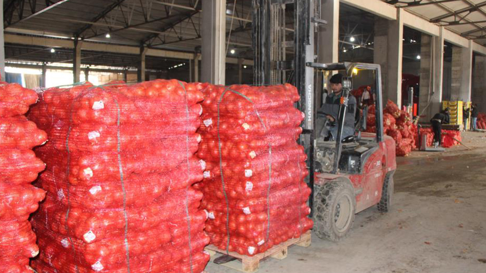 Pazarda 15 TL'ye satılıyor; başta Avrupa, bütün dünyaya buradan gidiyor