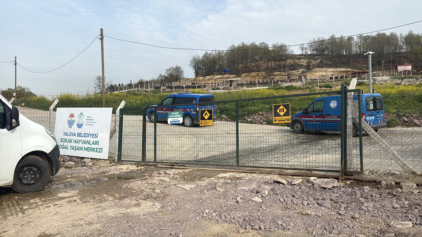 Yalova’da hayvan ölümleri iddialarına soruşturma