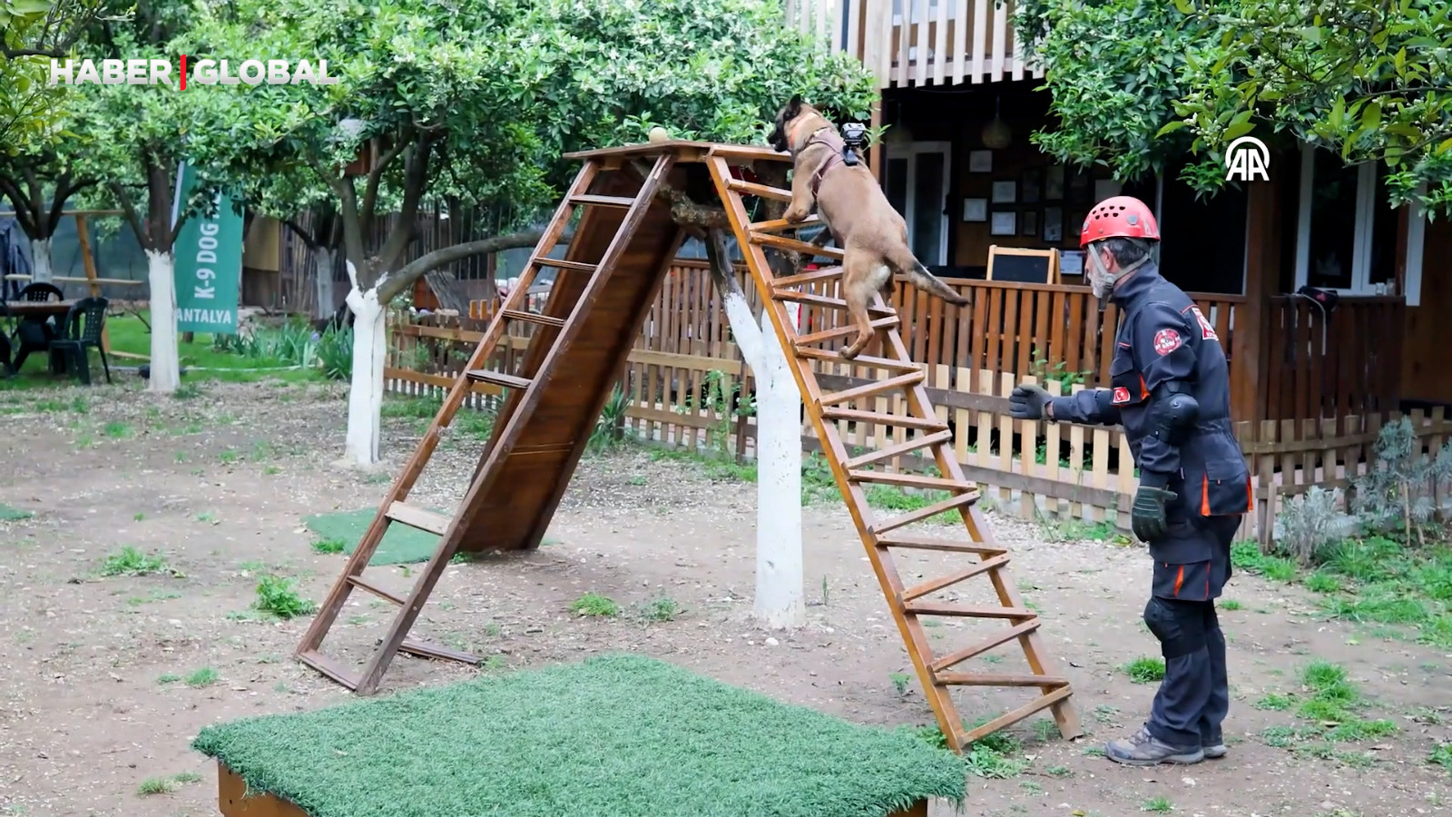 Evdeki "patili dostlar" enkaz altında kalan hayatlara umut olacak