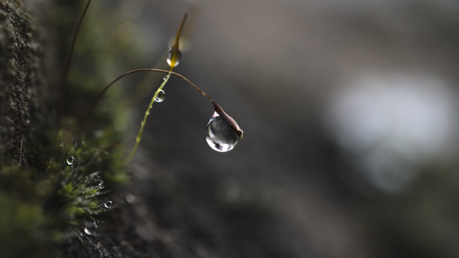 Son yağışlar tabloyu değiştirmedi: Kuraklık sürüyor