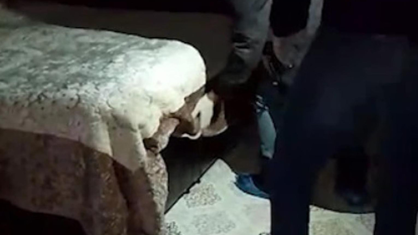 17 yıl hapisle aranıyordu; bazanın içinde saklanırken yakalandı