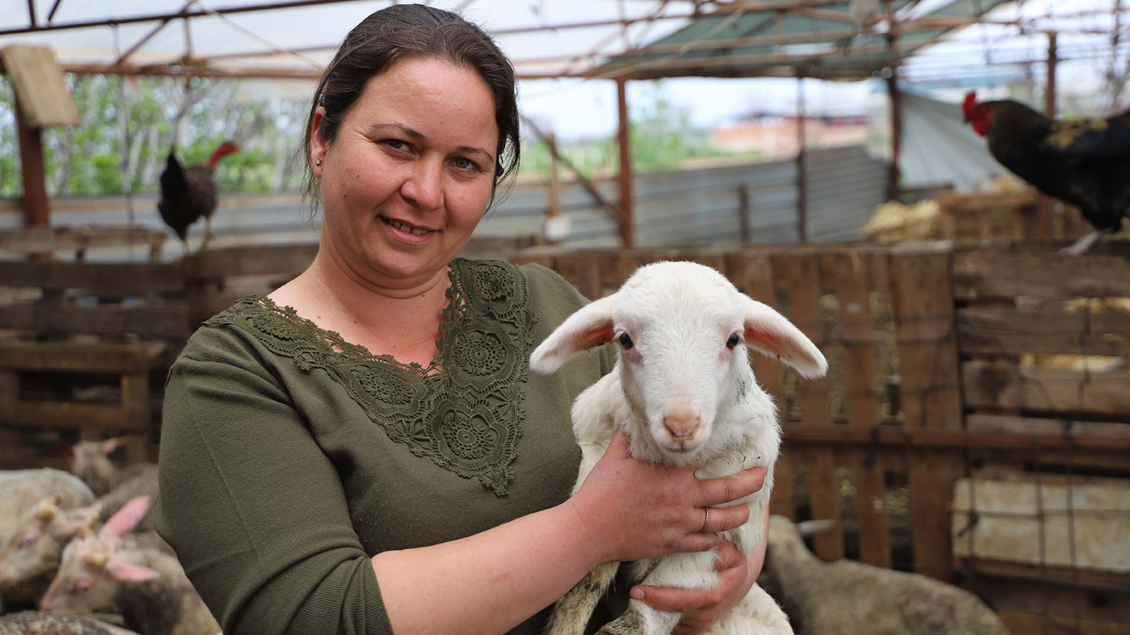 Babasının hediye ettiği kuzuyla başladı; çiftlik sahibi oldu