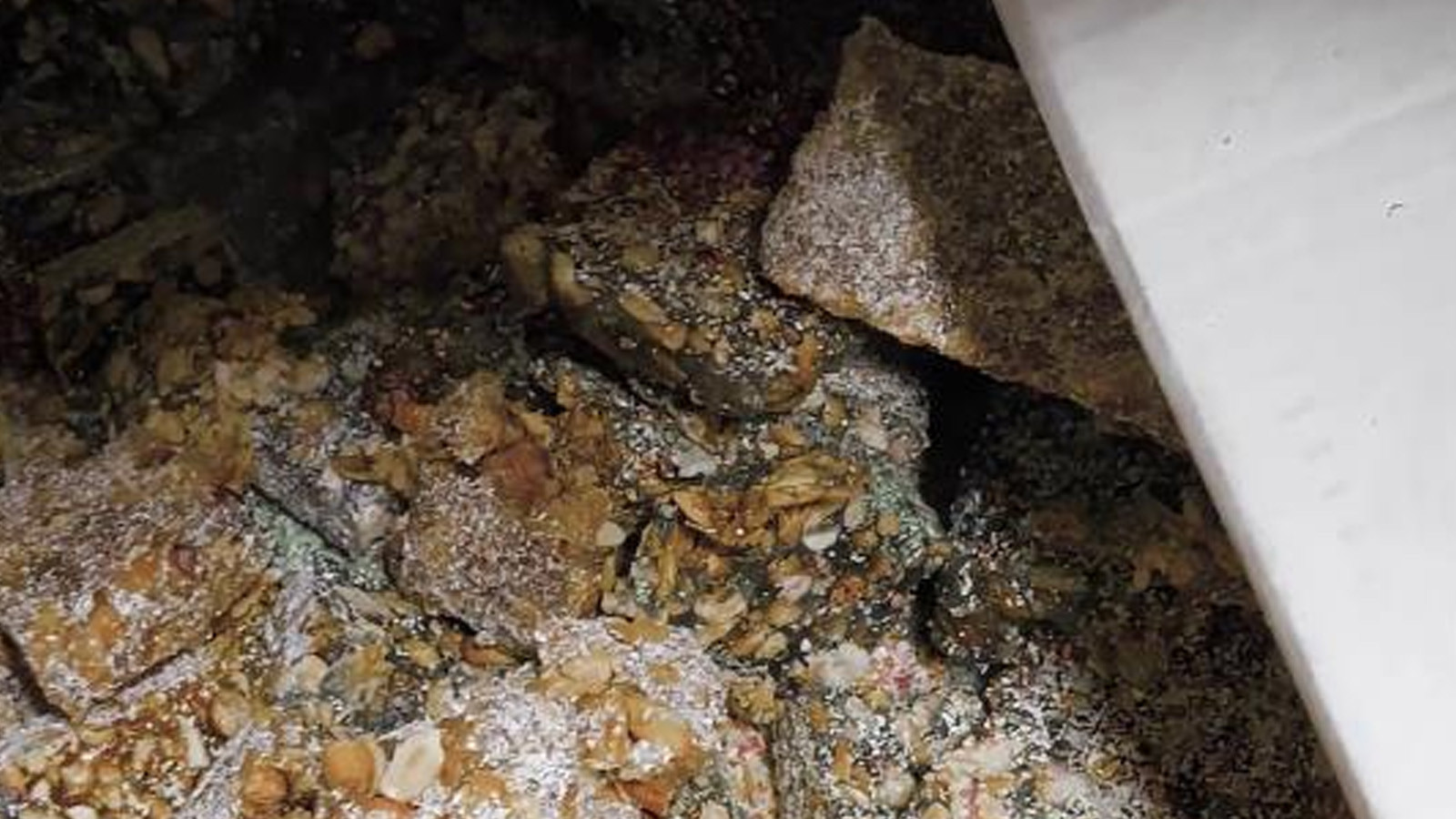 Kötü koku, gıda skandalını ortaya çıkardı: Pislik içinde üretip halka yedireceklerdi!