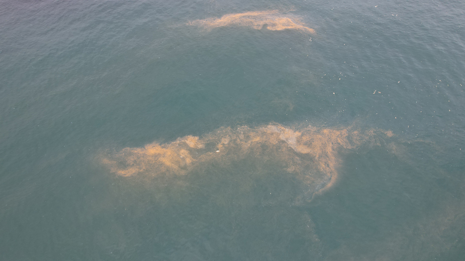 İstanbul'da denizde tedirgin eden manzara; geçmiş yılları anımsattı