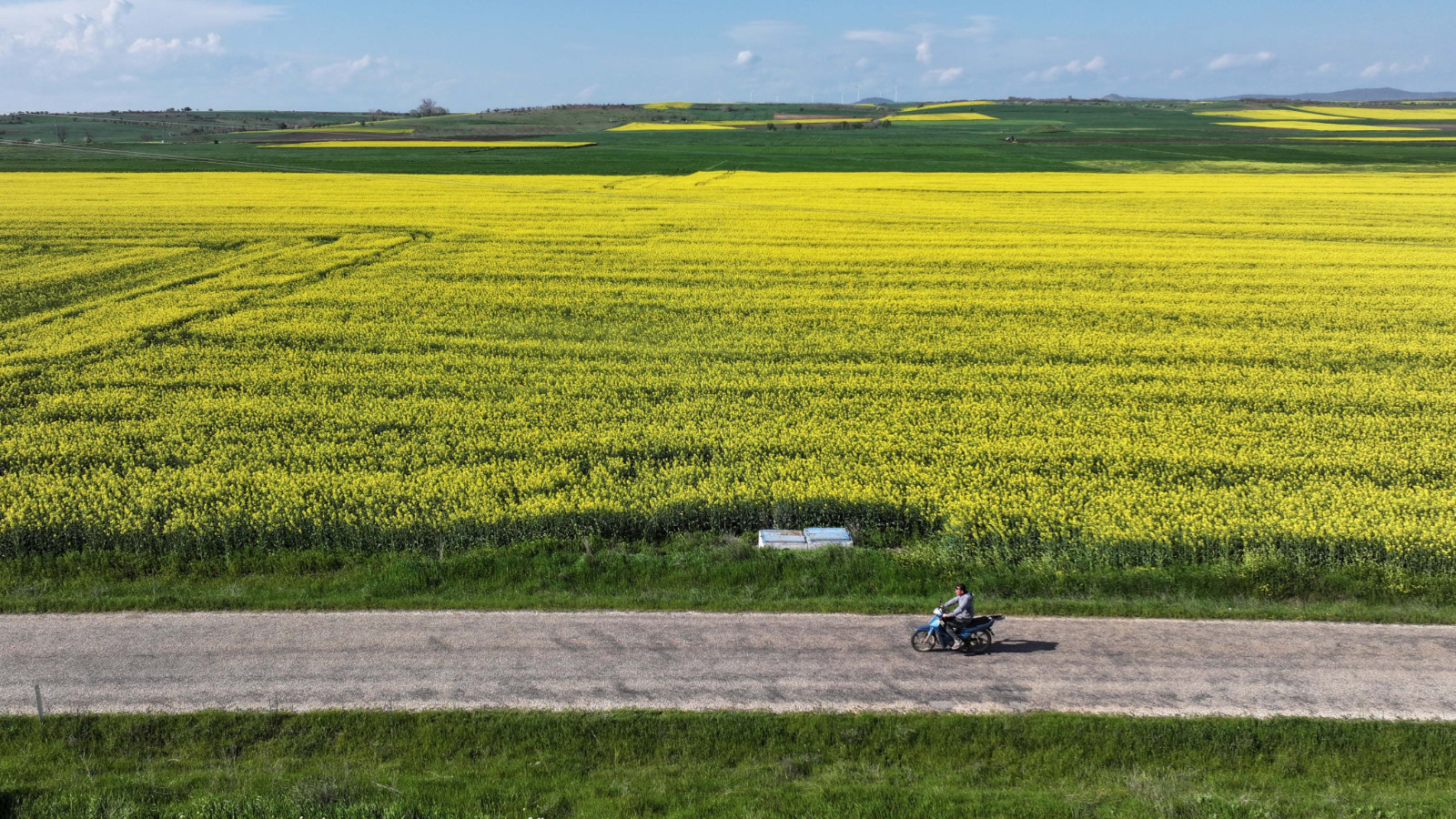 Çiftçiler o ürüne yöneldi, talep patladı
