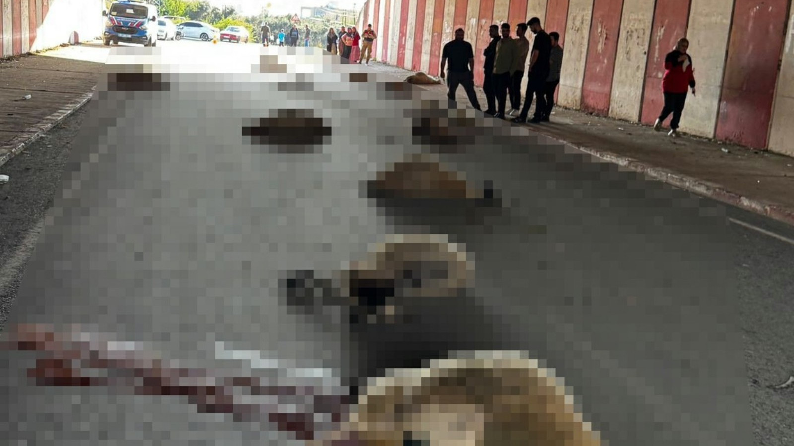 Hatay'da otomobilin çarptığı 17 küçükbaş hayvan telef oldu