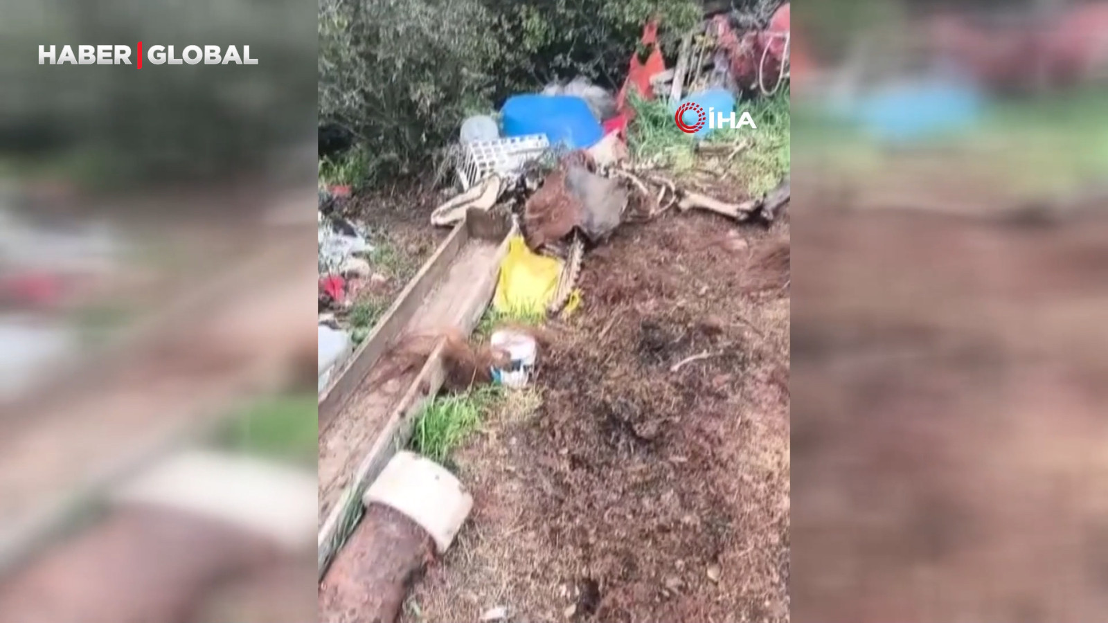 Hepsi zabıta ekiplerinin baskınında ortaya çıktı!