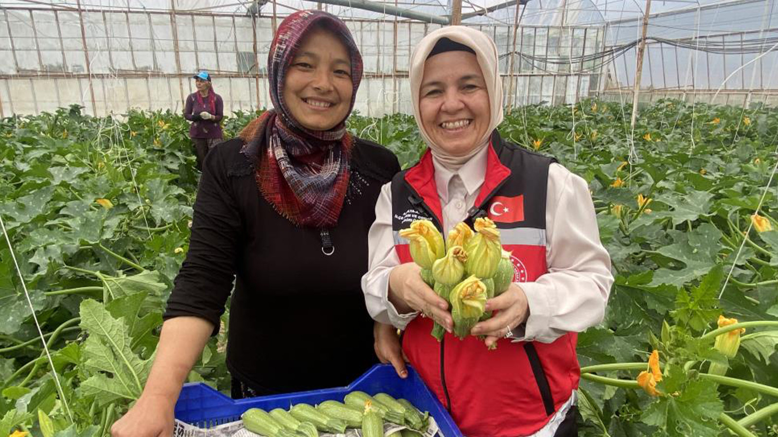 Kadın çiftçiden örnek başarı: Hem ihraç ediyor, hem pazarda satıyor