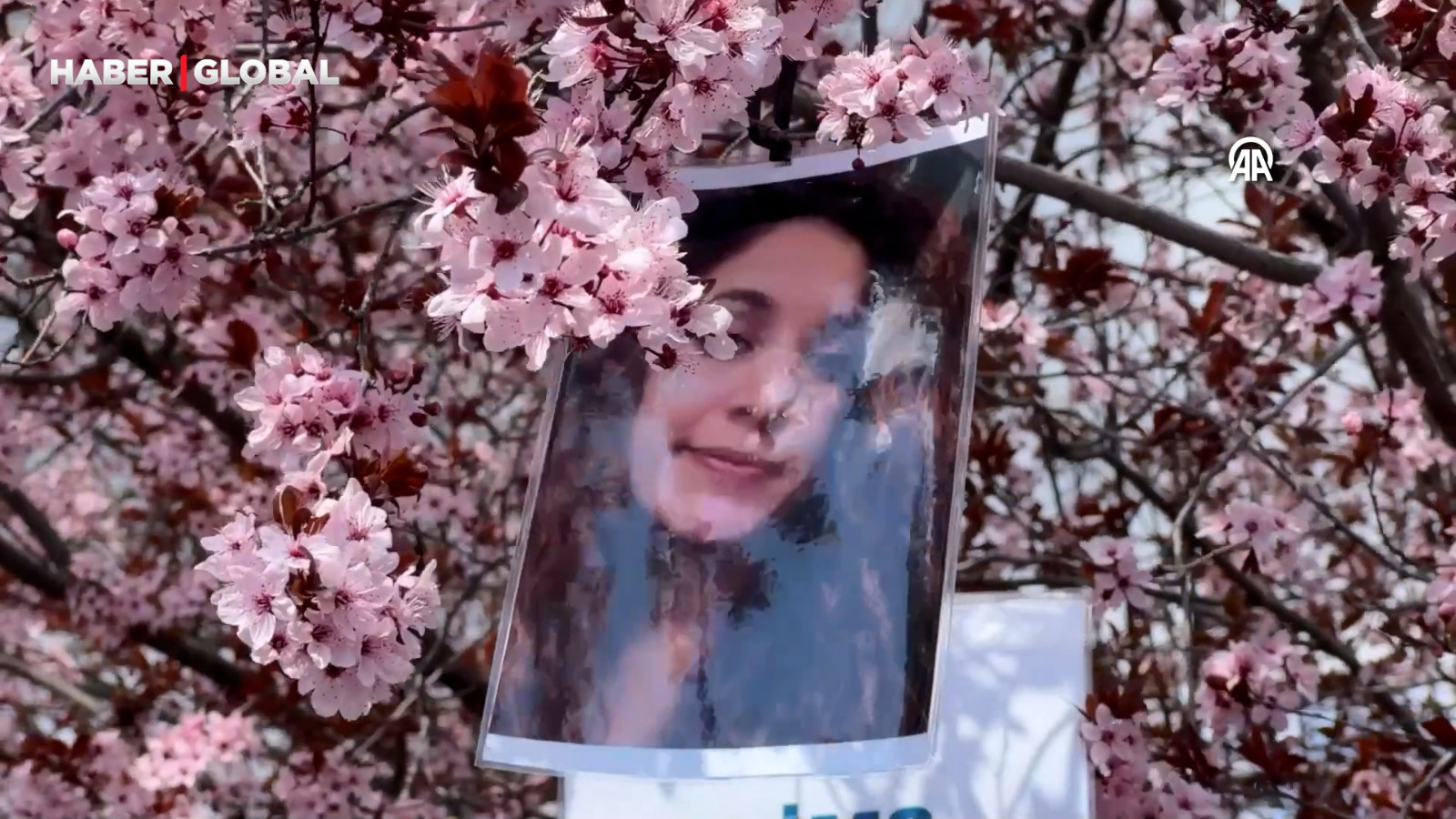 Tunceli'de ağaçlara Gülistan Doku'nun fotoğrafları asıldı