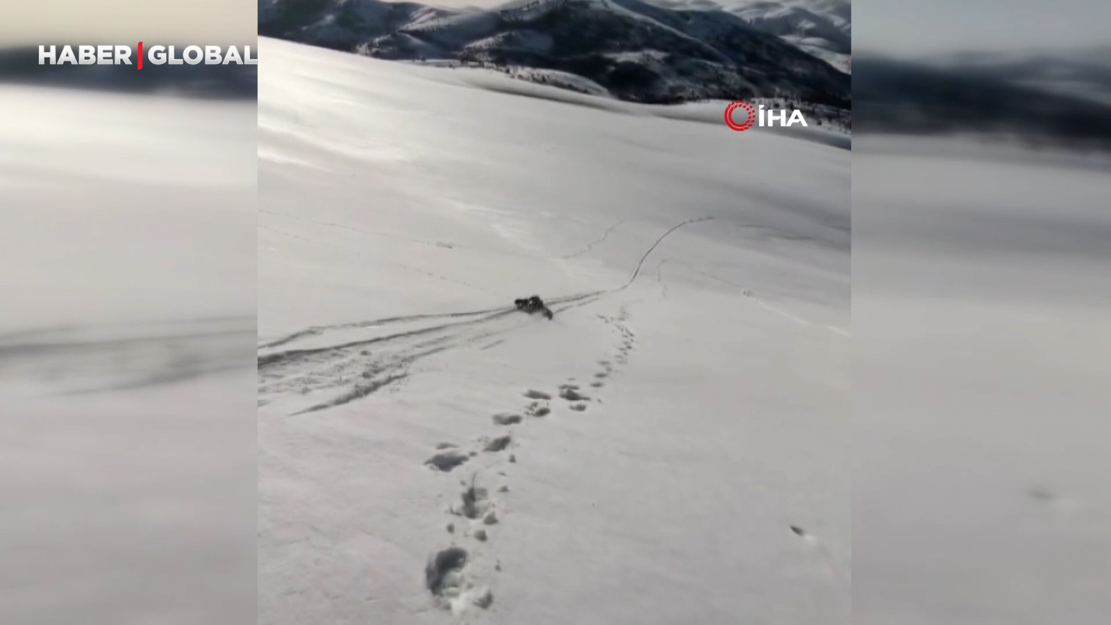 Nisan ayında çöp poşetiyle kaydılar, o anları kayda aldılar