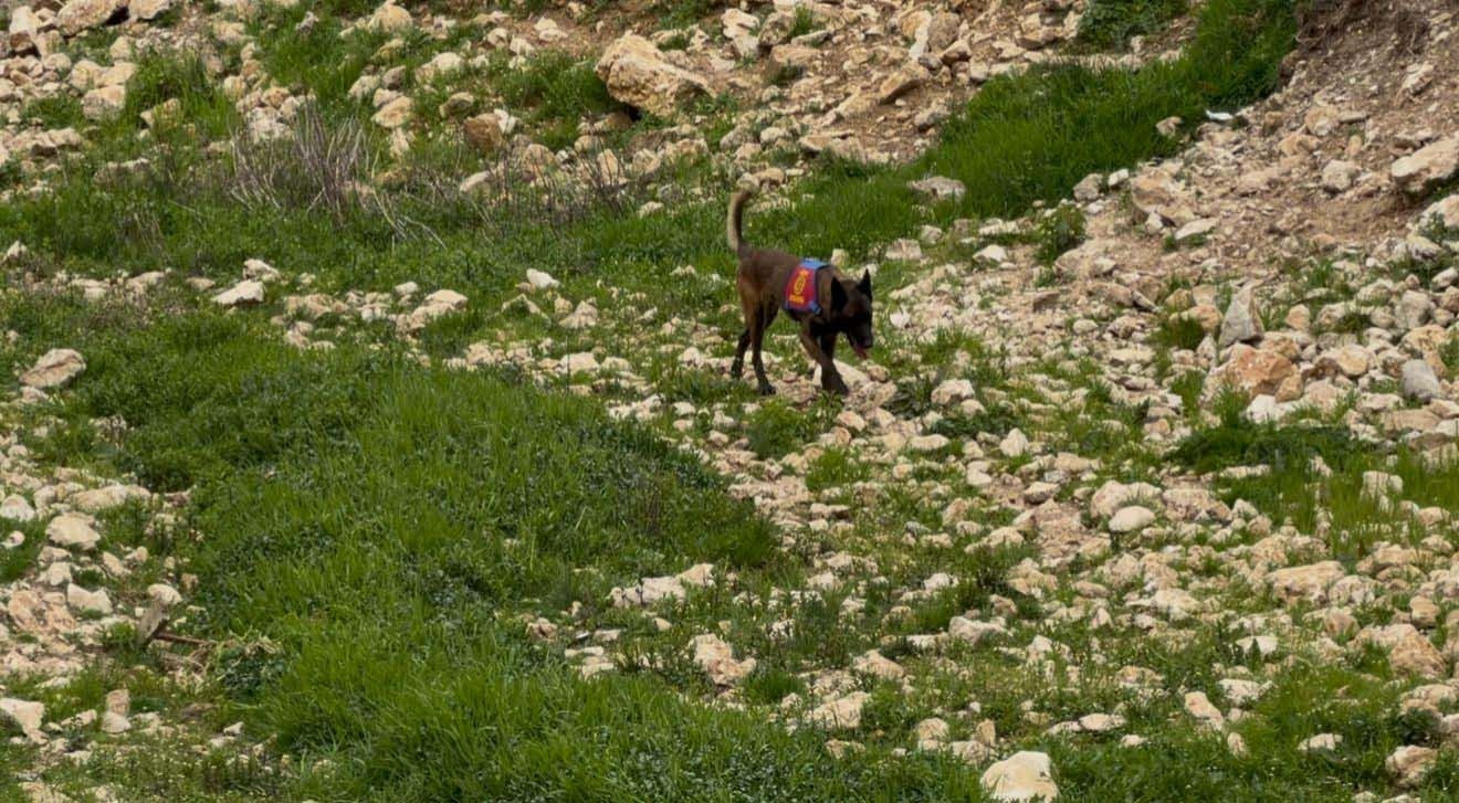 JAK ile JASAT ekipleri bölgede... Tunceli'de her yer didik didik aranıyor! - Resim: 11