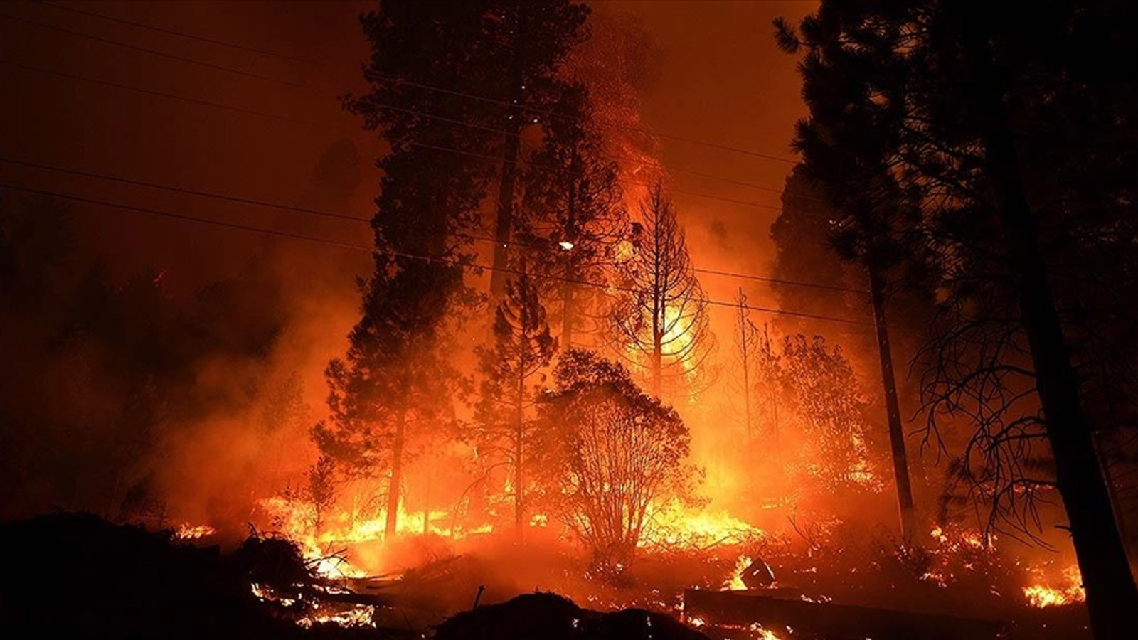 ABD'de orman yangını: 120'den fazla ev küle döndü