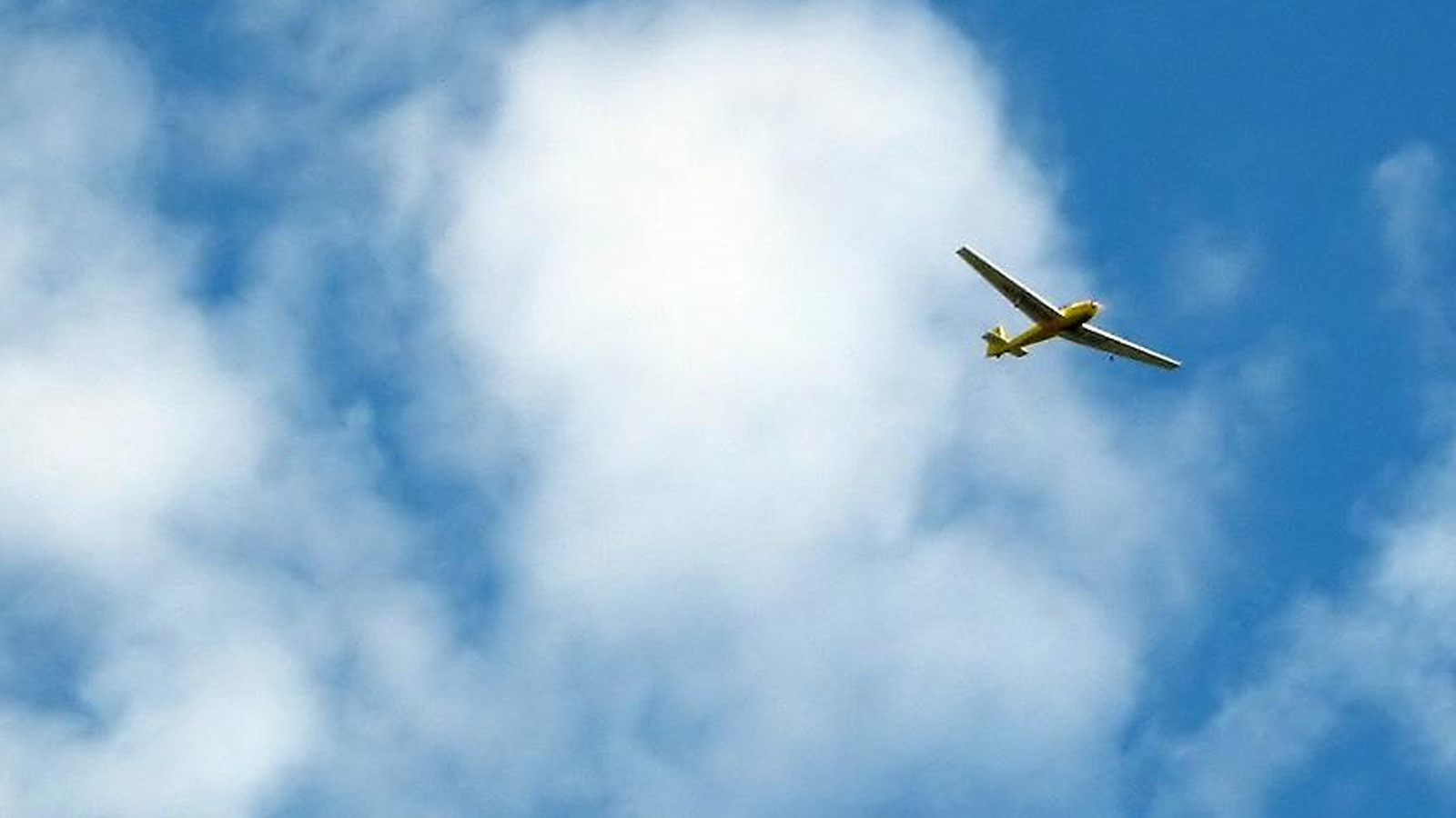 ABD'de uçak kazası: Milletvekili hayatını kaybetti