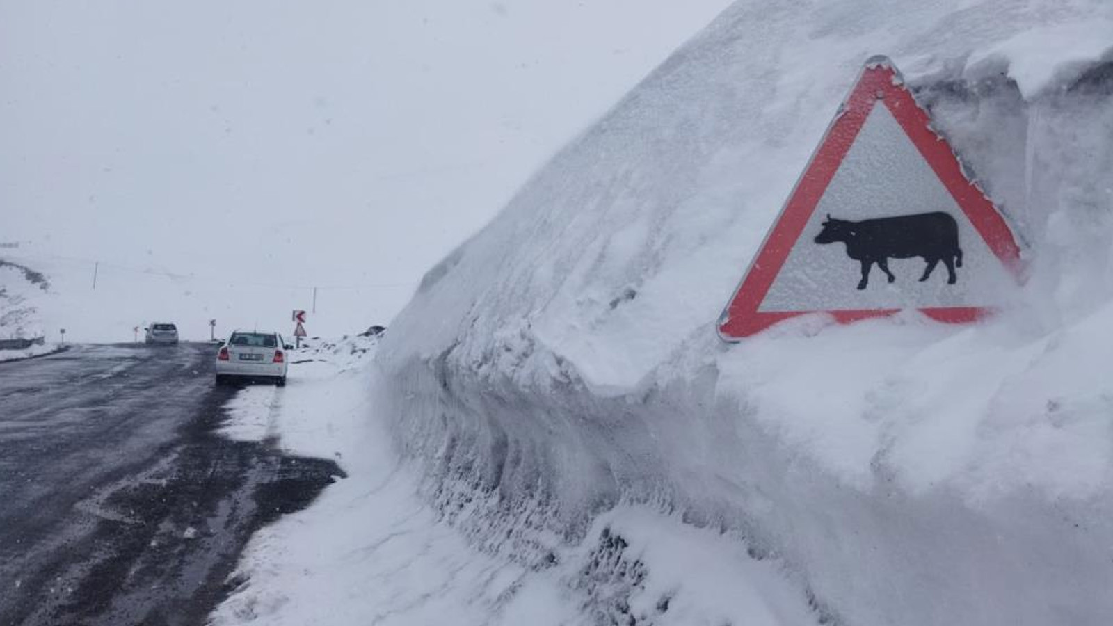 Baharın ortasında lapa lapa yağdı: Tabelalar kara gömüldü!