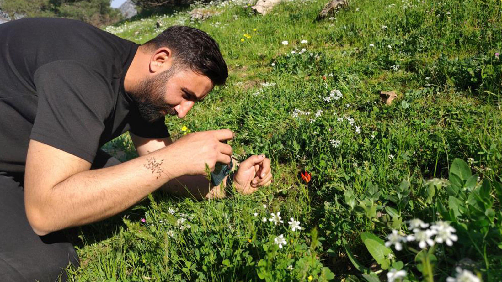 Yılda sadece 1 kez açıyor; koparmanın cezası araba bedeli!