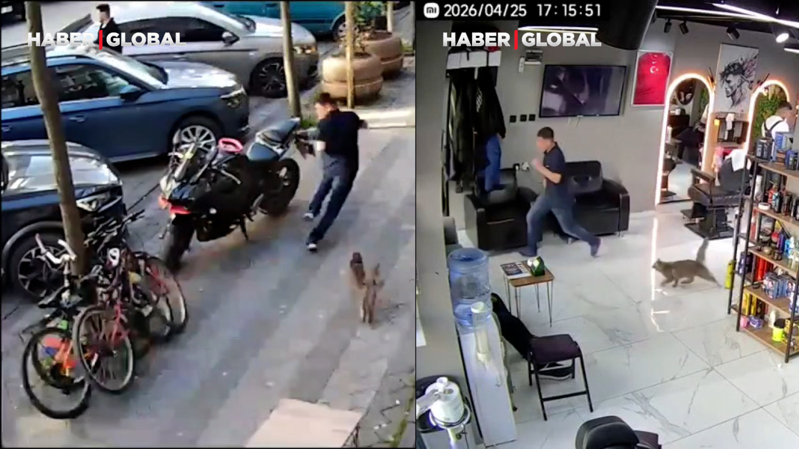 Kuaför salonundaki kedi müşterileri sokağa kadar kovaladı, olayı görenler gülme krizine girdi